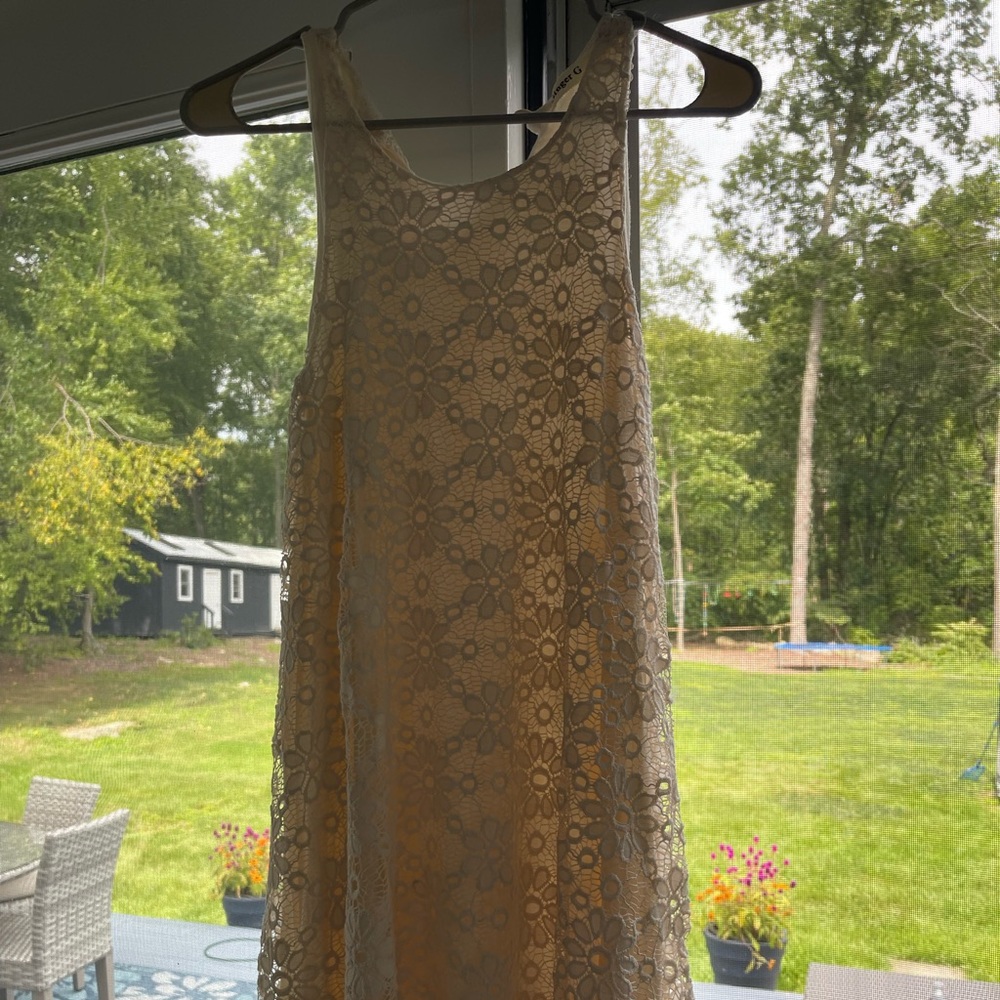 This is a cream colored dress, with floral overlay.